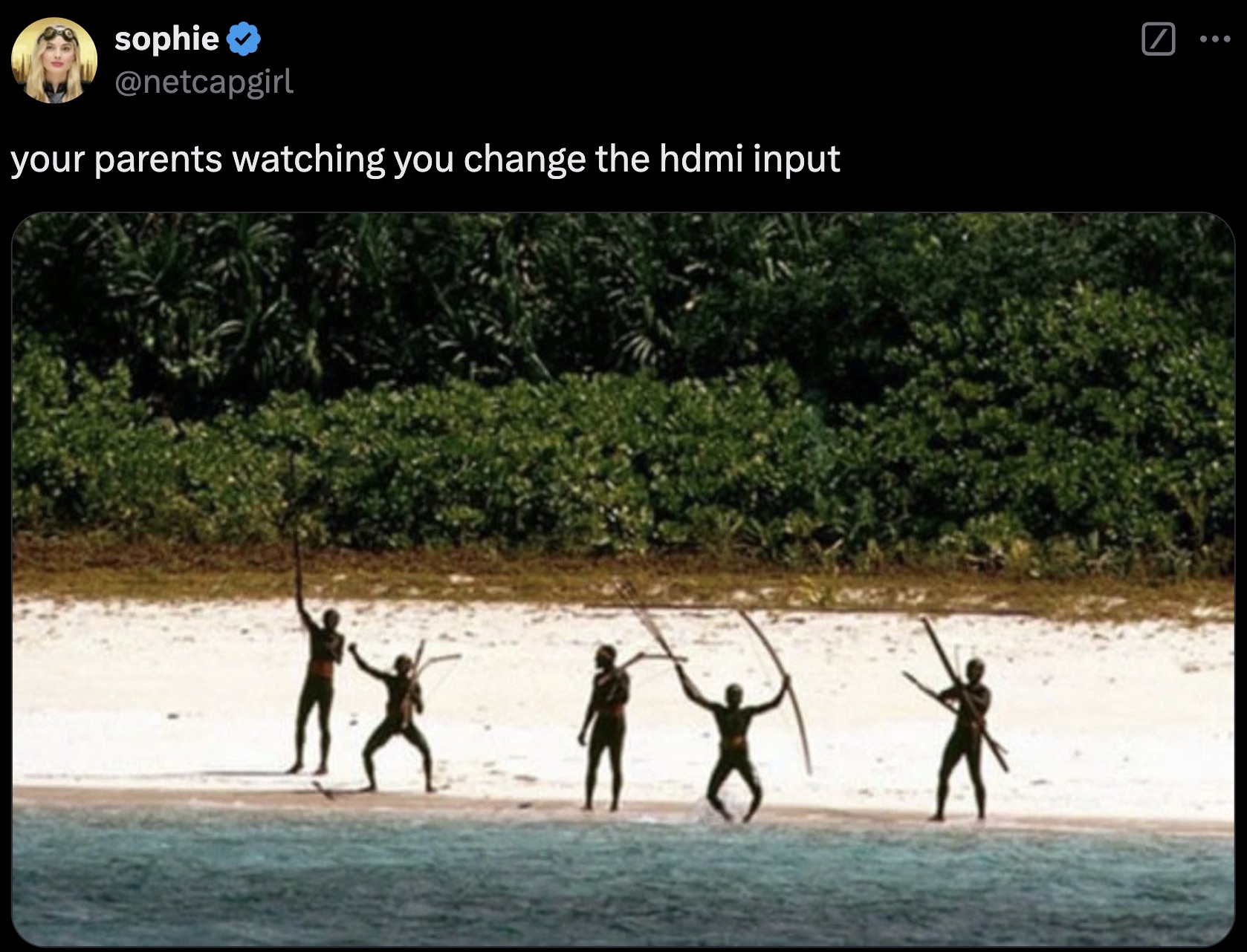 north sentinel island - sophie your parents watching you change the hdmi input